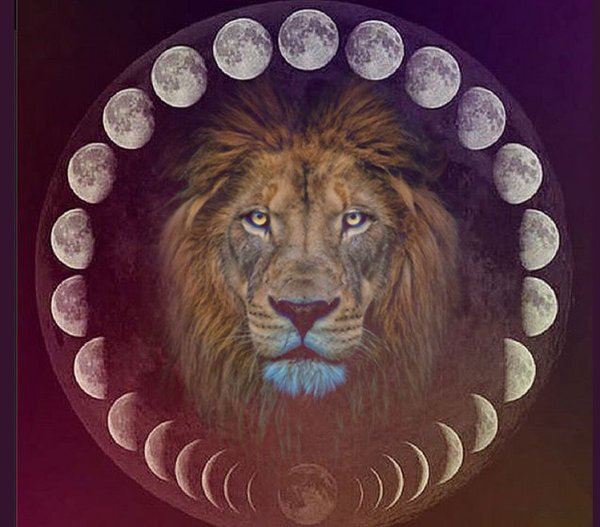 source: www.subcosmic.com
