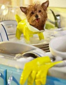 source: quicklol.com