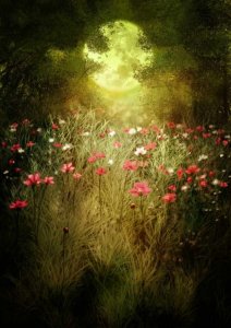 source: pinterest