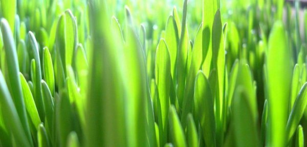 source: lean.startupdev.co.uk