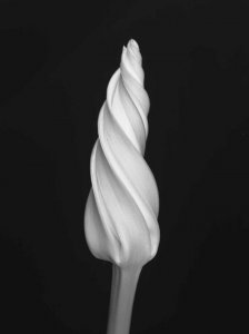 source: http://www.robertcassanova.com/