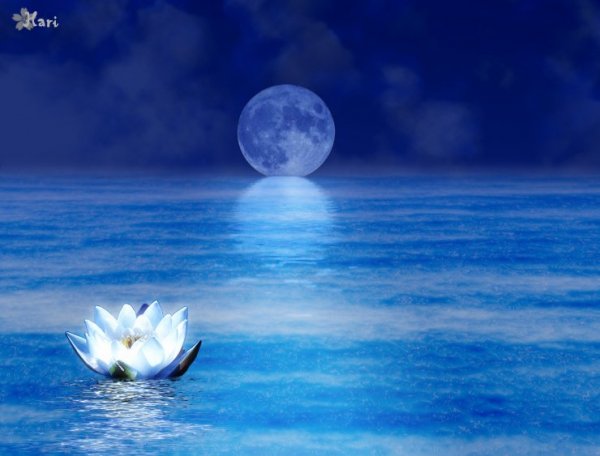 source: haritte.deviantart.com