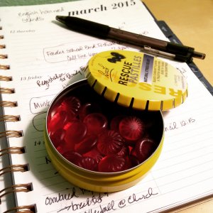 source:thesceniclife.com