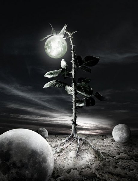 Art by neodecay.deviantart.com