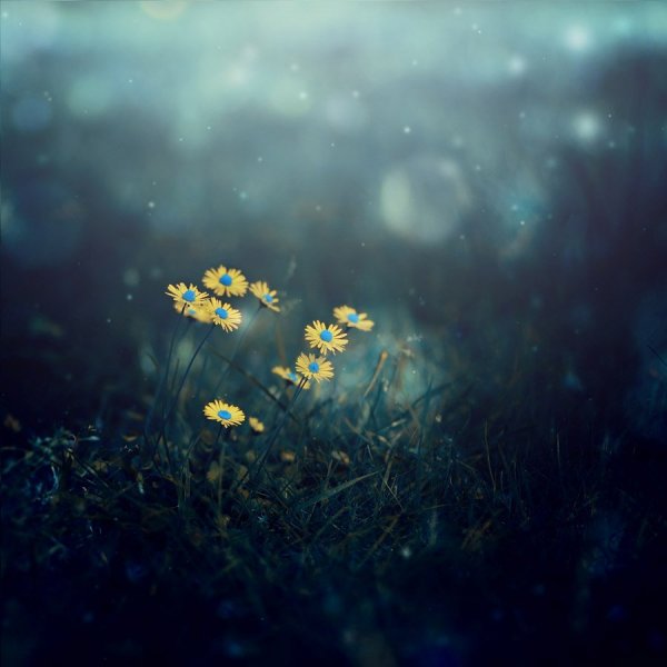 source: blog.seniorennet.be