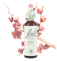 elm remedy chooser