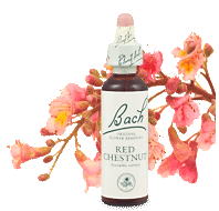 red-chestnut  remedy chooser