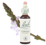vervain remedy chooser
