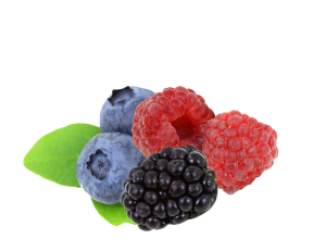 13016167341148682520adobestockphotos