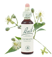 clemetis remedy chooser