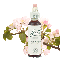 crab-apple remedy chooser