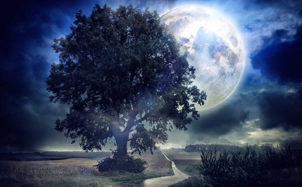 source: nasrudin1.rssing.com