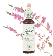 heather remedy chooser