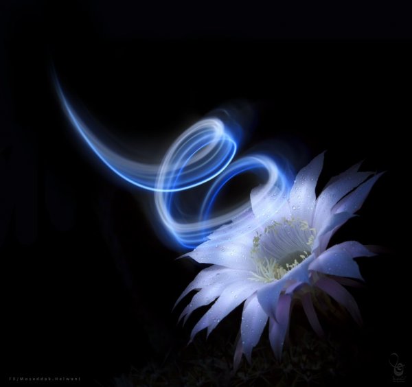 Art by mosaddak.deviantart.com