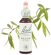 willow remedy chooser