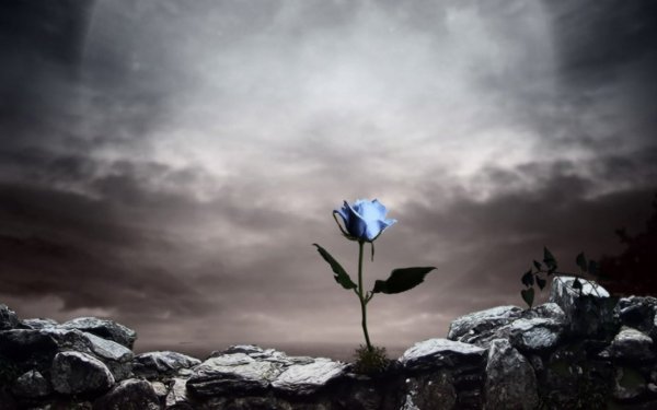 source: desktopbackgroundshq.com