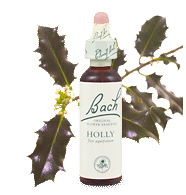 holly remedy chooser