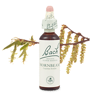 hornbeam remedy chooser