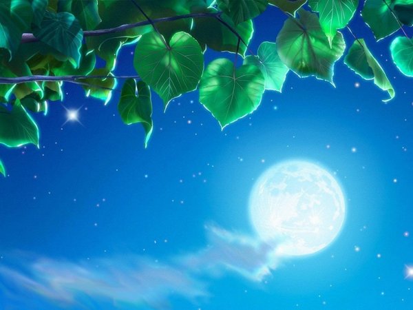 magical_moonlight_sky_leaves_beautiful_hd-wallpaper-1791003