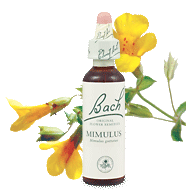 mimulus remedy chooser