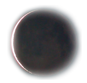 new_moon