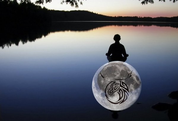 source: www.lisamooncat.com