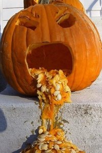 pumpkin-barfing